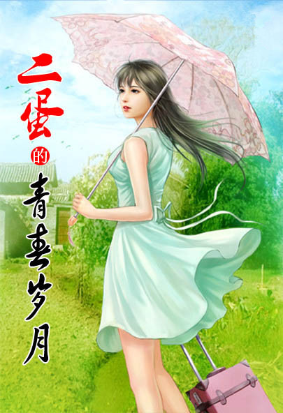 机动战队之D级佣兵的冒险故事