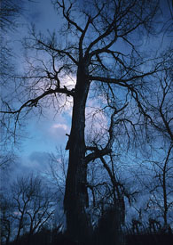 不够（1V1&nbsp;&nbsp;H）